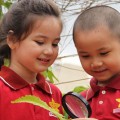 Bản tin
