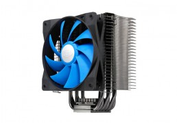 pro06